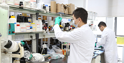 麻将胡了2(中国游)官方网站 - IOS/安卓通用版/手机APP下载